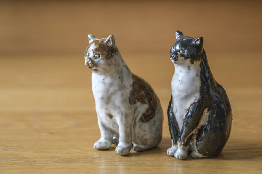 大きめの猫 その2